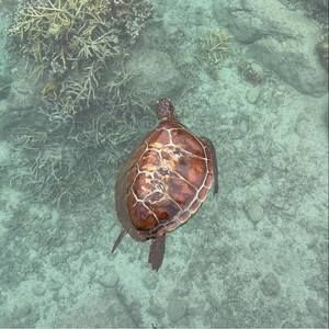 Meet your Posher, Aurélie